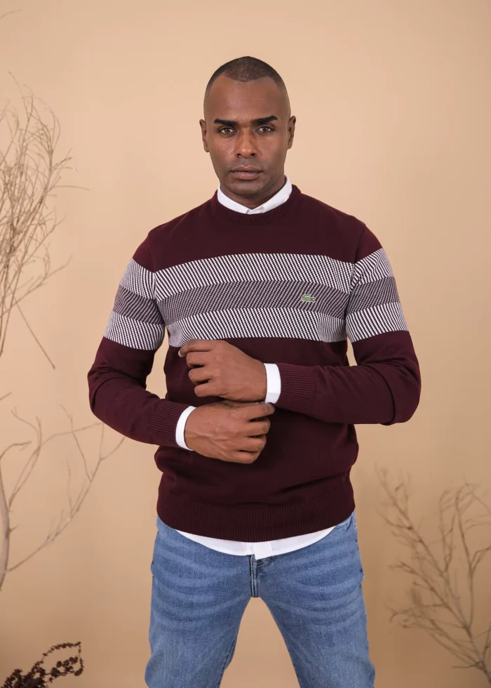 Knitwear Colorblock Pullover Lacoste